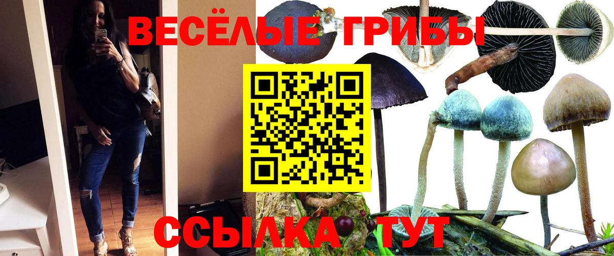 цены наркотик  Псилоцибиновые грибы Psilocybine cubensis  Галлюциногенные грибы прущие грибы  Вход с VPN  Донецк 